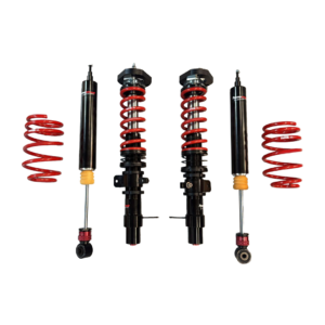 SPORT-PERFOMANCE-FOCUS-RS-MK1