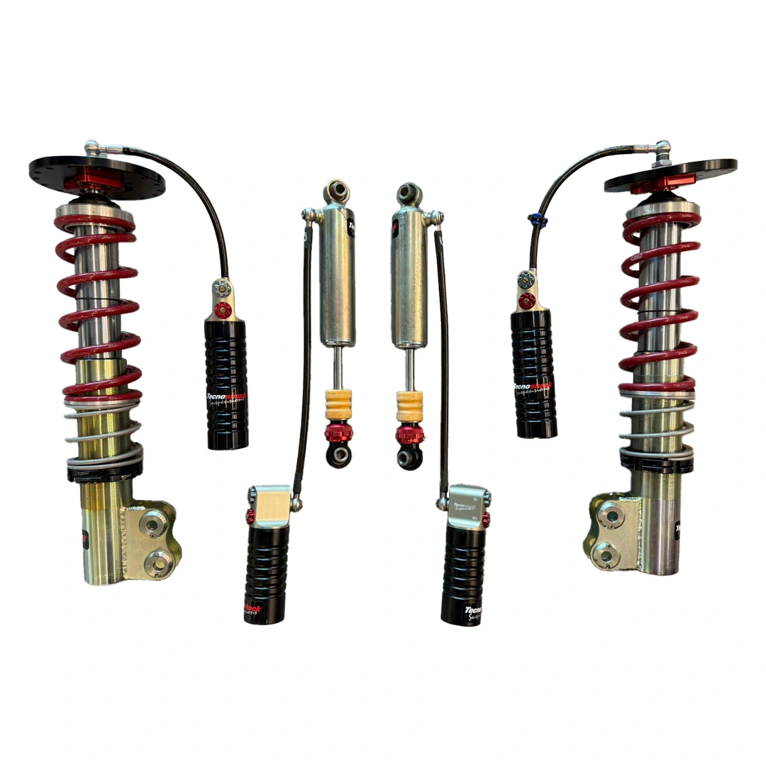 TSK-RACE-PERFORMANCE-CLIO-WILLIAMS-3V